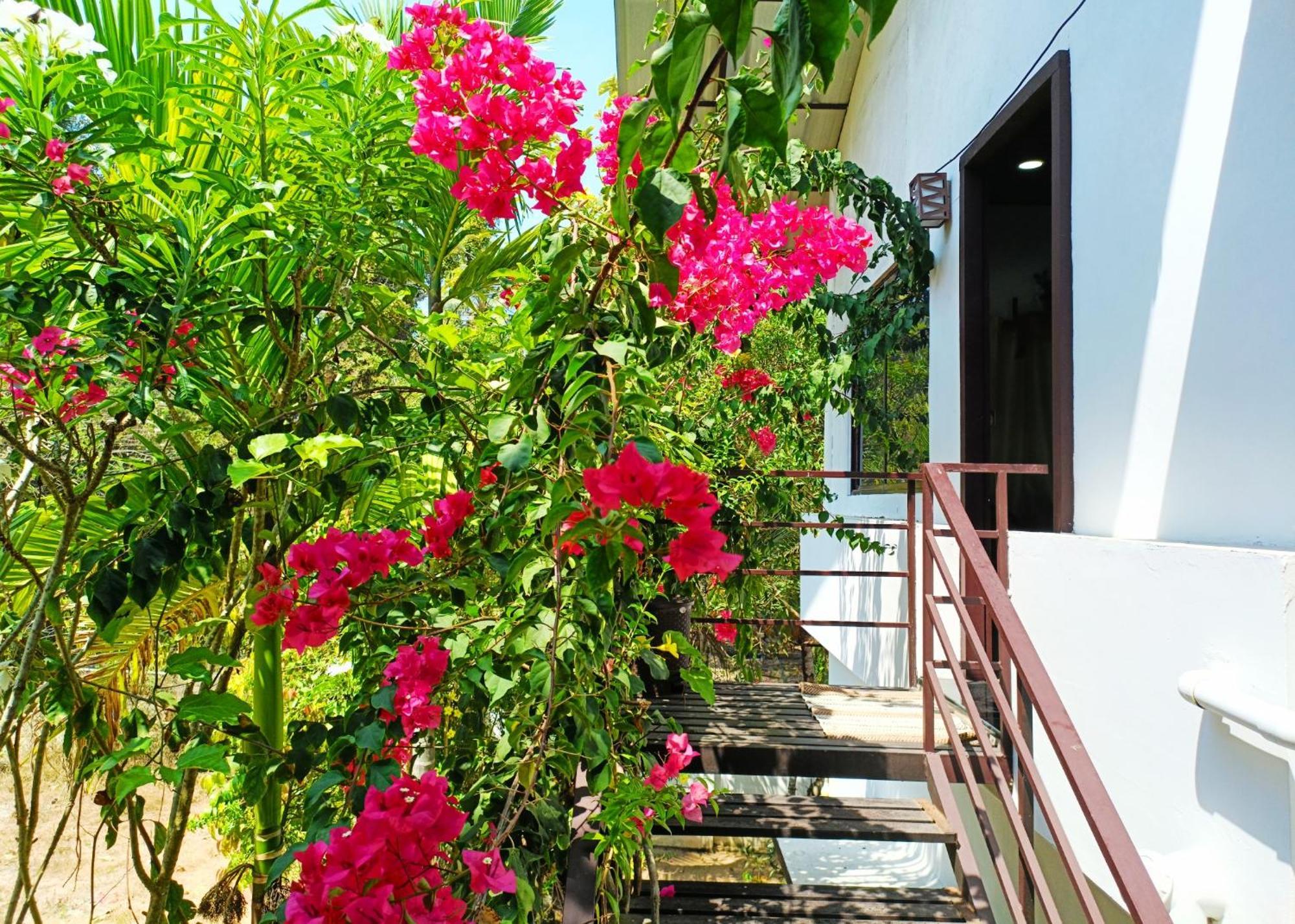 Alma Homestay Марарикулам Экстерьер фото
